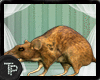 [TP] Macabre Rats (ENH)