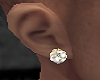 ICE Earrings
