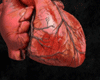 Exclusive Heart