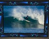 (LA) Surfer 08