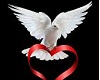 Doves of Love