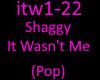 Shaggy - It Wasn't Me