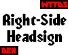 WTTDS Right HeadsignMesh