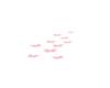 Glowing Pink Butterflies