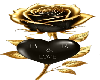 Rosa Black Gold