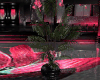 Style Lotus Plants...