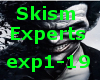 Skism Experts