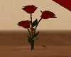 N* Red Roses