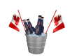 Canada Beer Pail