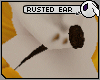 ~DC) Rusted Ear Plugs
