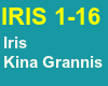 Iris Kina Grannis