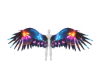 Nebula Wings