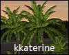 [kk] Palm Trees