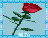 M| Noa Hand Rose Kid