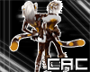 [C.A.C] Patches Tail