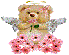  teddy bear