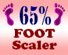 Resizer 65% Foot