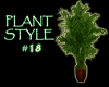 (IKY2) PLANT STYLE #18