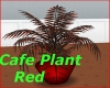 Cafe plant red