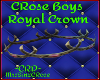 *ZD* ~Boys Constance Rose Prince Crown~