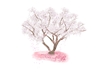 Cherry Tree :Romantic: