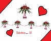LV/  Valentines Flowers