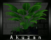 :A: Boxed Plants