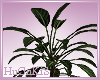 [xo] Dark Dreams :Plant: