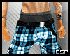 [ESP] Plaid Shorts |Blue
