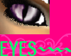 [WA]PurpleCat Eyes