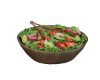 FOOD INSALATA CIPLL