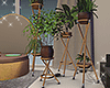 × Plant + Stand
