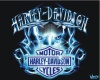 Teal Harley Davidson 