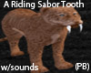 (PB)A Riding Sabor Tooth
