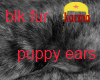 blk puppy dog ears