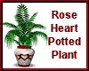 (MR) RH Potted Plant