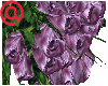 PP~Bouquet Rose Viola