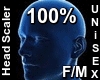 F/M Head Scaler 100%