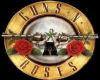 gunsnroses sticker