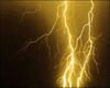 gold body lightning m/f
