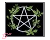 Ivy Pentacle