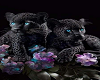 lepord kittens black