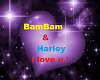 bambam & harley