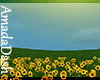 AD SunFlower