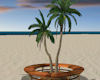 [z]Beach Palm