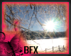 BFX PW Winter 2 Sided