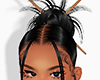 𝓁. orella black