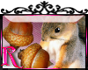 *R* Squirrel Acorn ENH