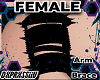 Brace L | BE/BK