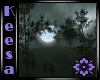 Romantic Moonlite Forest